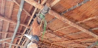 Bupati Sarmi : Rumah Adat Simbol Identitas dan Kearifan Lokal Yang Harus Dilestarikan