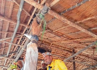 Bupati Sarmi : Rumah Adat Simbol Identitas dan Kearifan Lokal Yang Harus Dilestarikan